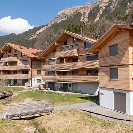 Monchsbuffel Apartment Wengen